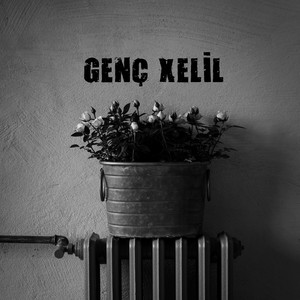 Genç Xelil