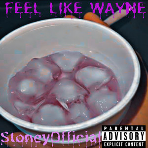 Feel Like Wayne (Explicit)