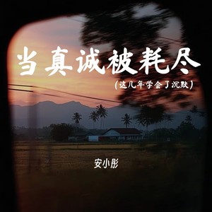 当真诚被耗尽 (这几年学会了沉默)