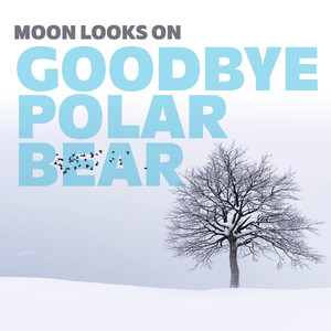 Goodbye Polar Bear