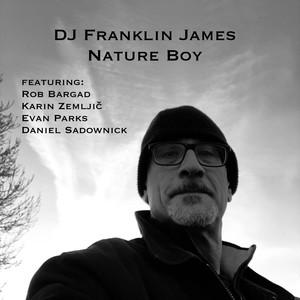 Nature Boy (feat. Rob Bargad, Karin Zemljič, Evan Parks & Daniel Sadownick)