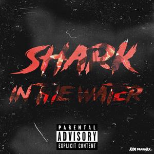 Shark in the water (Explicit)