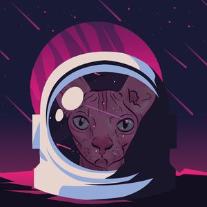 A Cat in Space