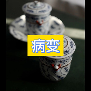 病变 (风景版)