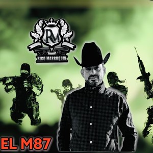 El M87