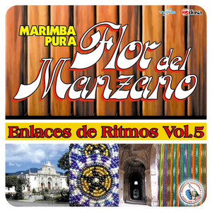 Enlaces de Ritmos Vol. 5. Música de Guatemala para los Latinos