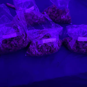 Forgotten freestyle (Explicit)