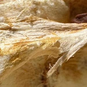 Kimono 3000 (feat. KFM live & Mastra) (Live)