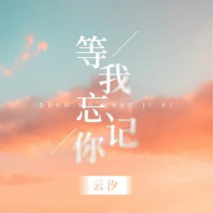 等我忘记你