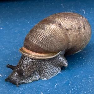 INODDWETRUST (Explicit)