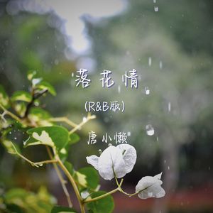 落花情 (r&b版)