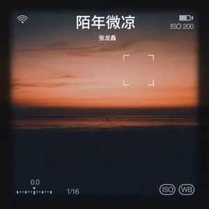 陌年微凉