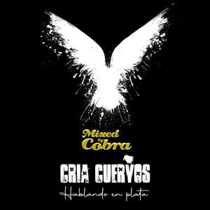 Hablando en plata mixed by Cobra (feat. Daddy Cobra) (Explicit)