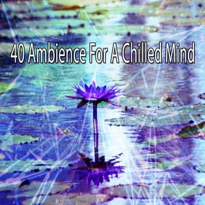 40 Ambience for a Chilled Mind