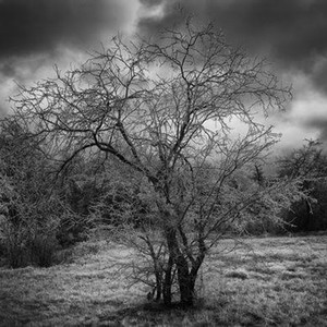 The **** ! (Explicit)