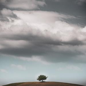 Hard Tymes (Explicit)