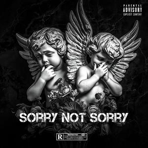 Sorry Not Sorry (Explicit)