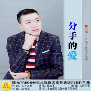 分手的爱