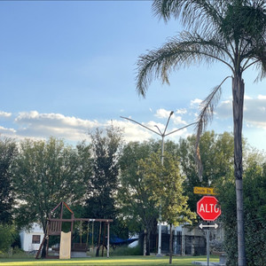 花千骨她泪三尺 (小颜同学吖 remix)