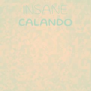 Insane Calando