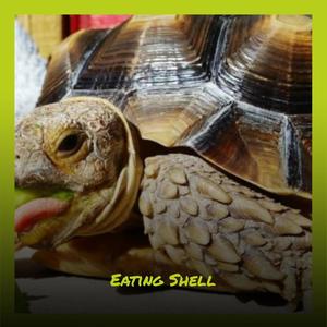 Ceylonese Heightened