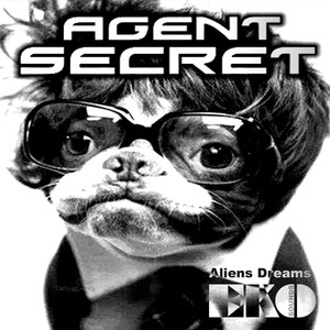 Agent Secret