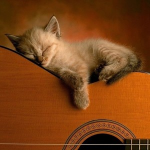 原创《曾经路过的苍白和美丽》