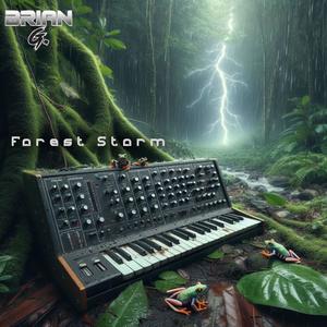 Forest Storm