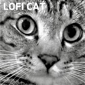 화 날때 살살 풀어주는 로파이 캣 (LOFI CAT)