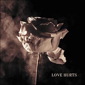 Love Hurts