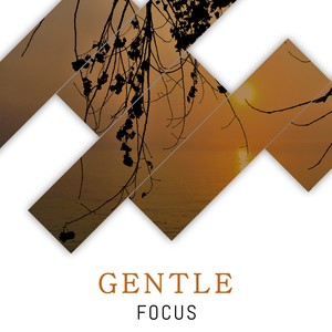 #Gentle Focus