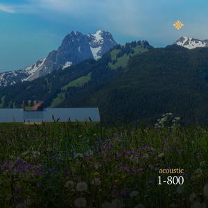1-800 (Acoustic)