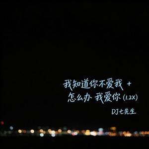 我知道你不爱我+怎么办 我爱你 (1.2X)封面