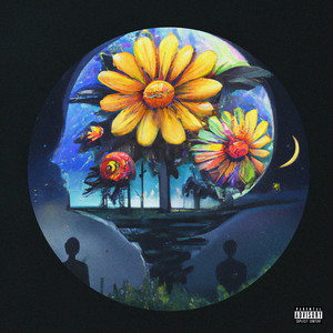 Nobody (Sped Up|Explicit)