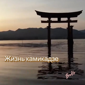 Жизнь камикадзе