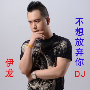 不想放弃你 (DJ版)