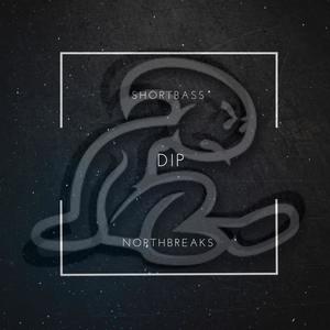 DIP