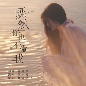 既然你已不爱我 (DJ彭锐版)