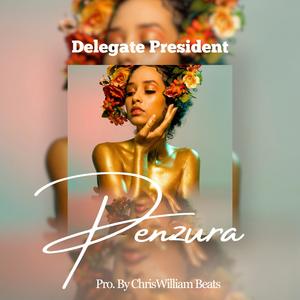 Penzura (feat. Delegate President)