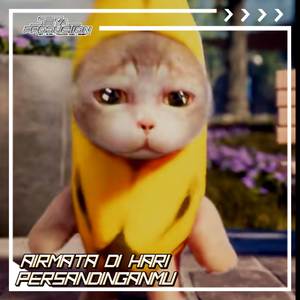 DJ AIR MATA DI HARI PERSANDINGANMU FUNKOT