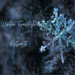 Winter Freestyle (Explicit)