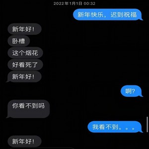 假的玫瑰pt.4