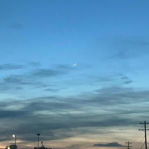 Dennis Rodman (feat. Anti$ocial J) (Explicit)