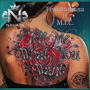 Tell Me What You Want (feat. Rhianna & M.I.C. Money In Charge) (Explicit)