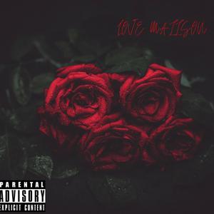 Love Maiison (Explicit)