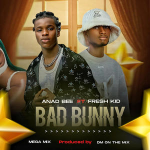 Bad Bunny (Fresh Kid Remix)