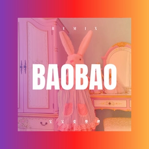 宝宝爱整理 (DJ版)