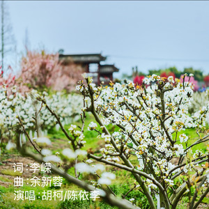 梨花清流