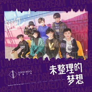 未整理的梦想 (成员版)