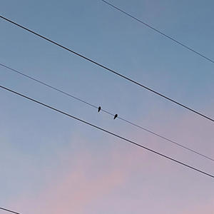 flyk - There was Darkness